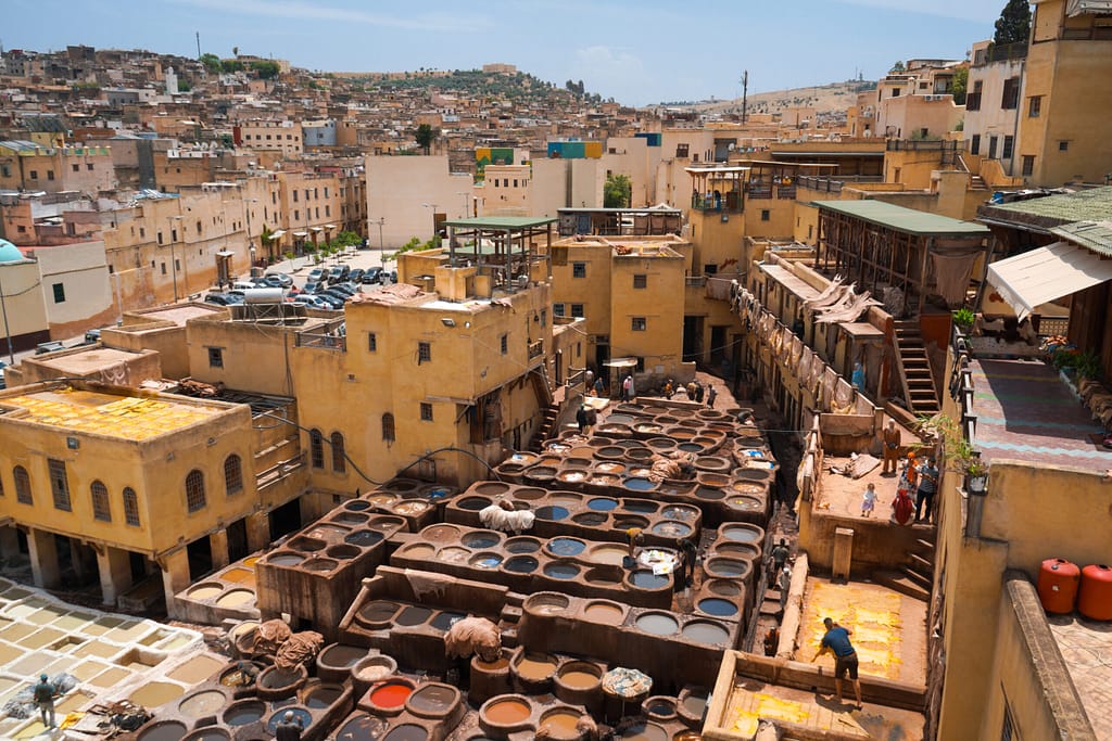 chaouwara tanneries