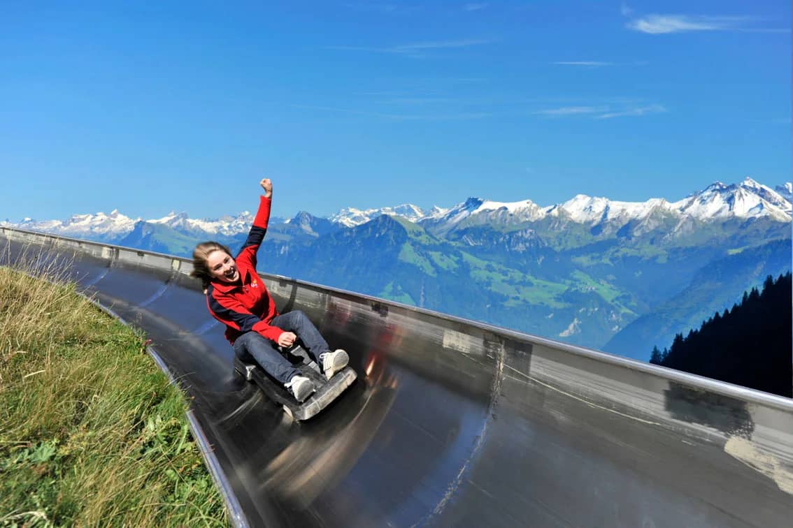 mount pilots toboggan