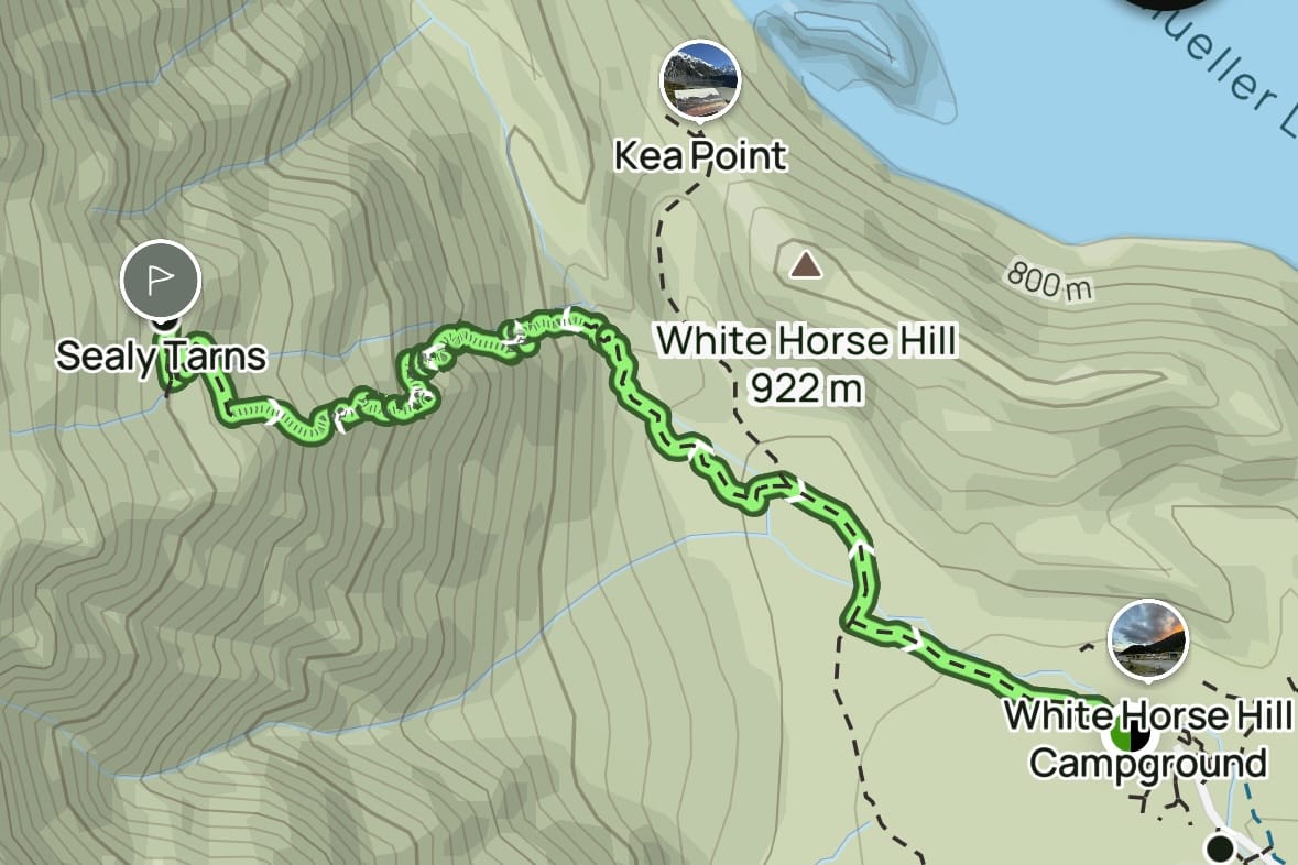 sealy tarns track