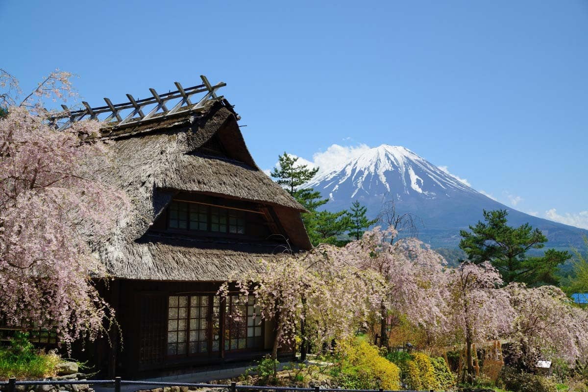 mount-fuji