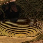 moray