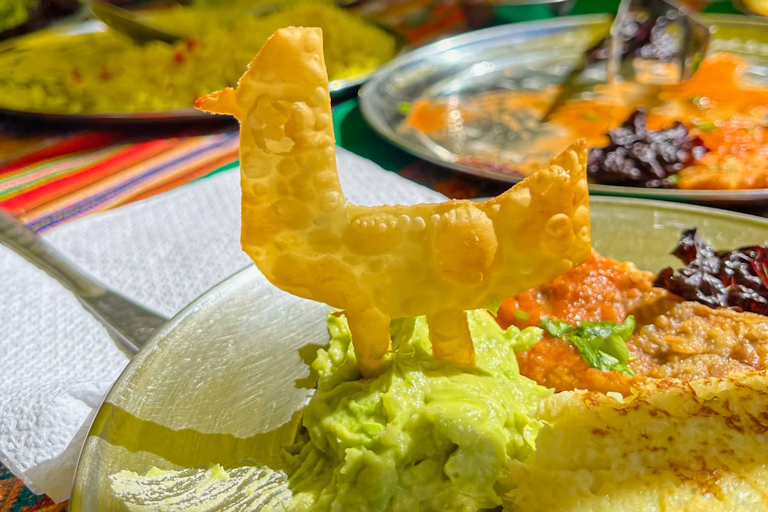 llama-dish