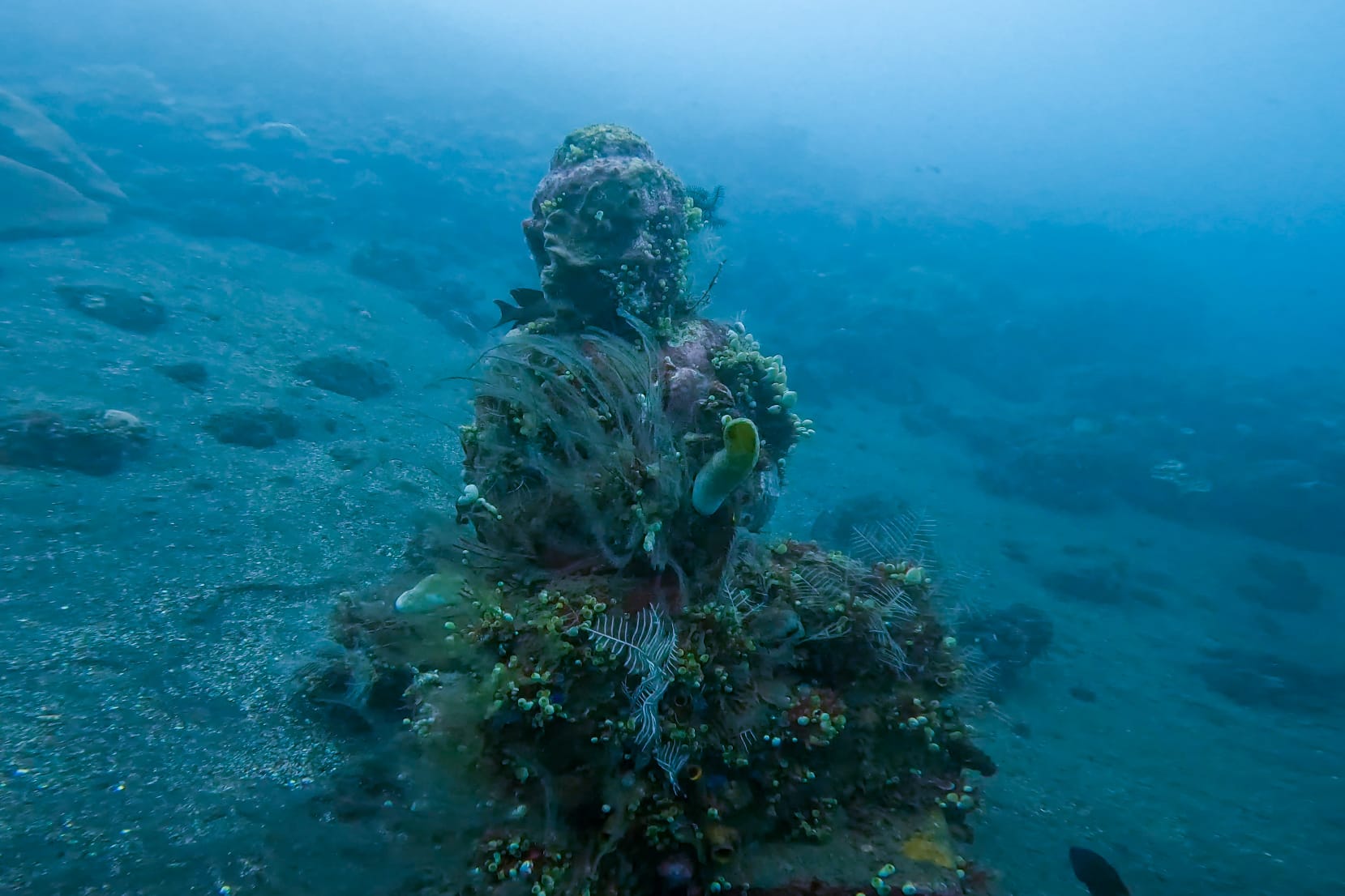bali scuba diving