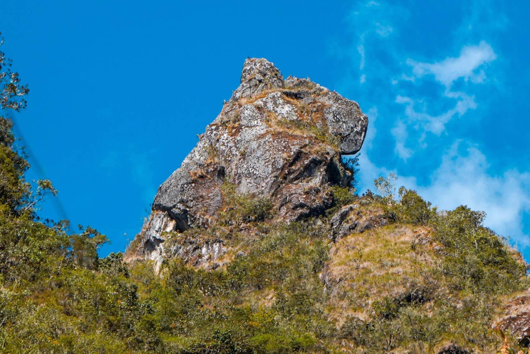 inca-trail-puma-rock