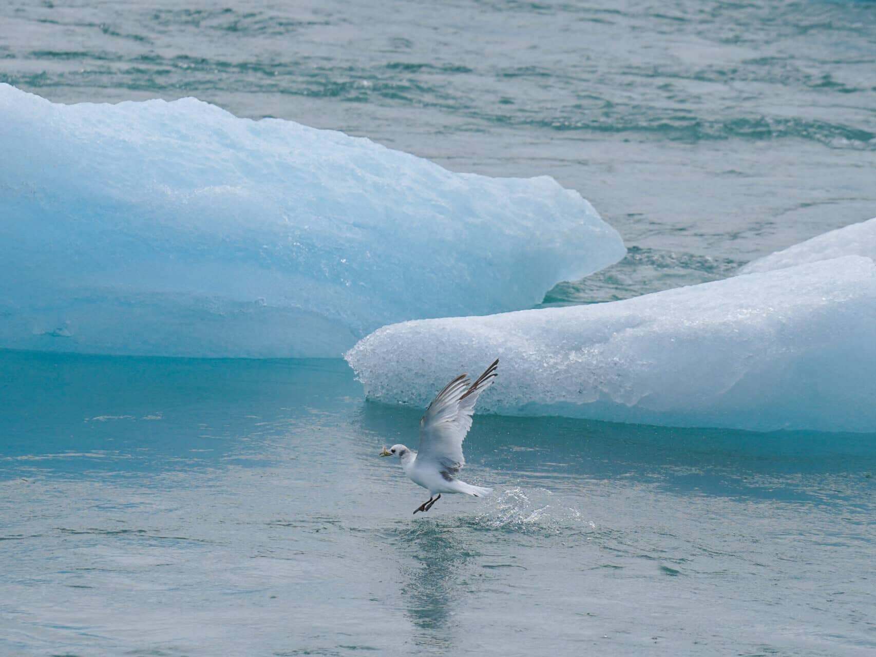 iceland-jokulsarlon