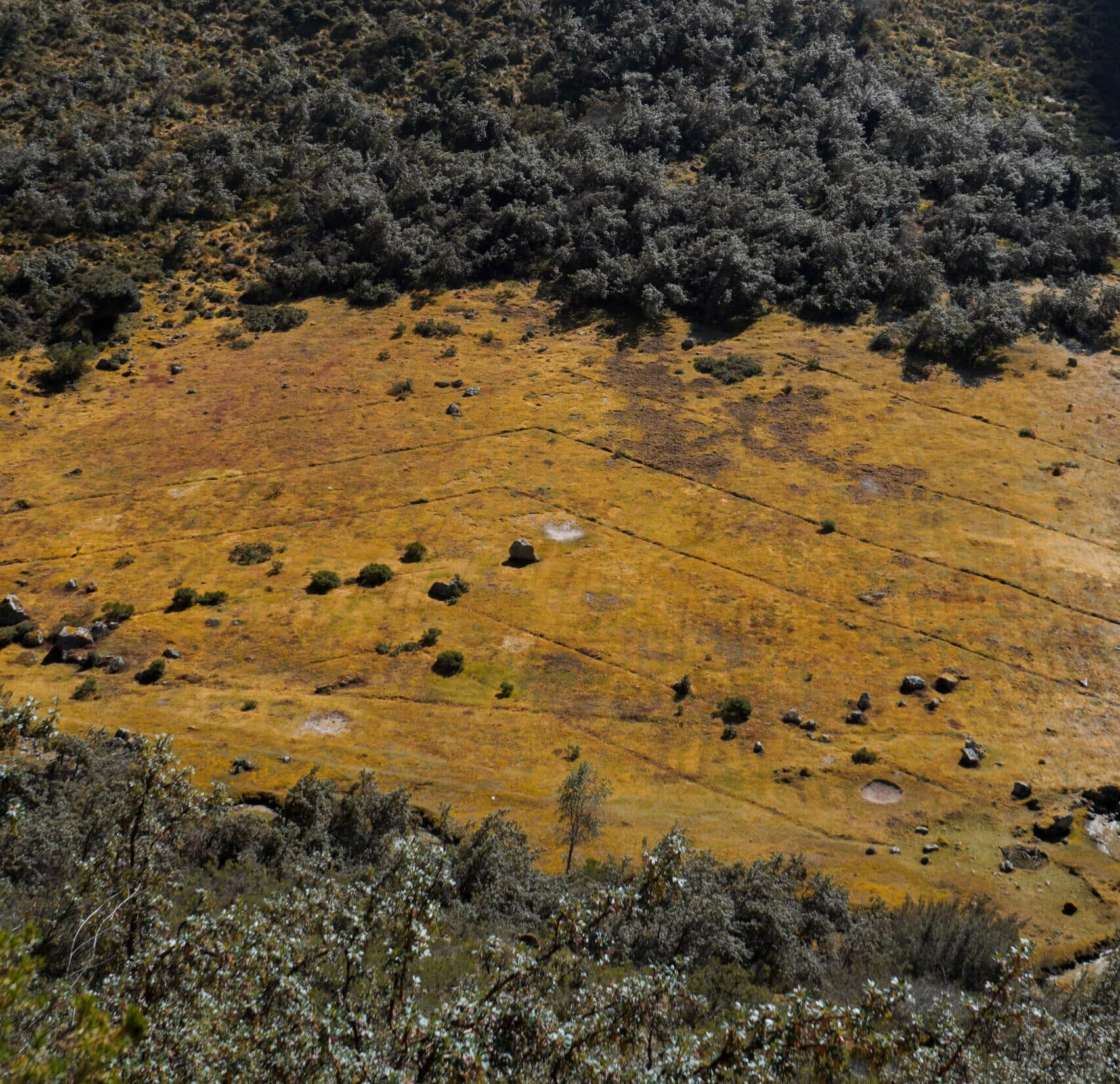 inca-trail-nazca