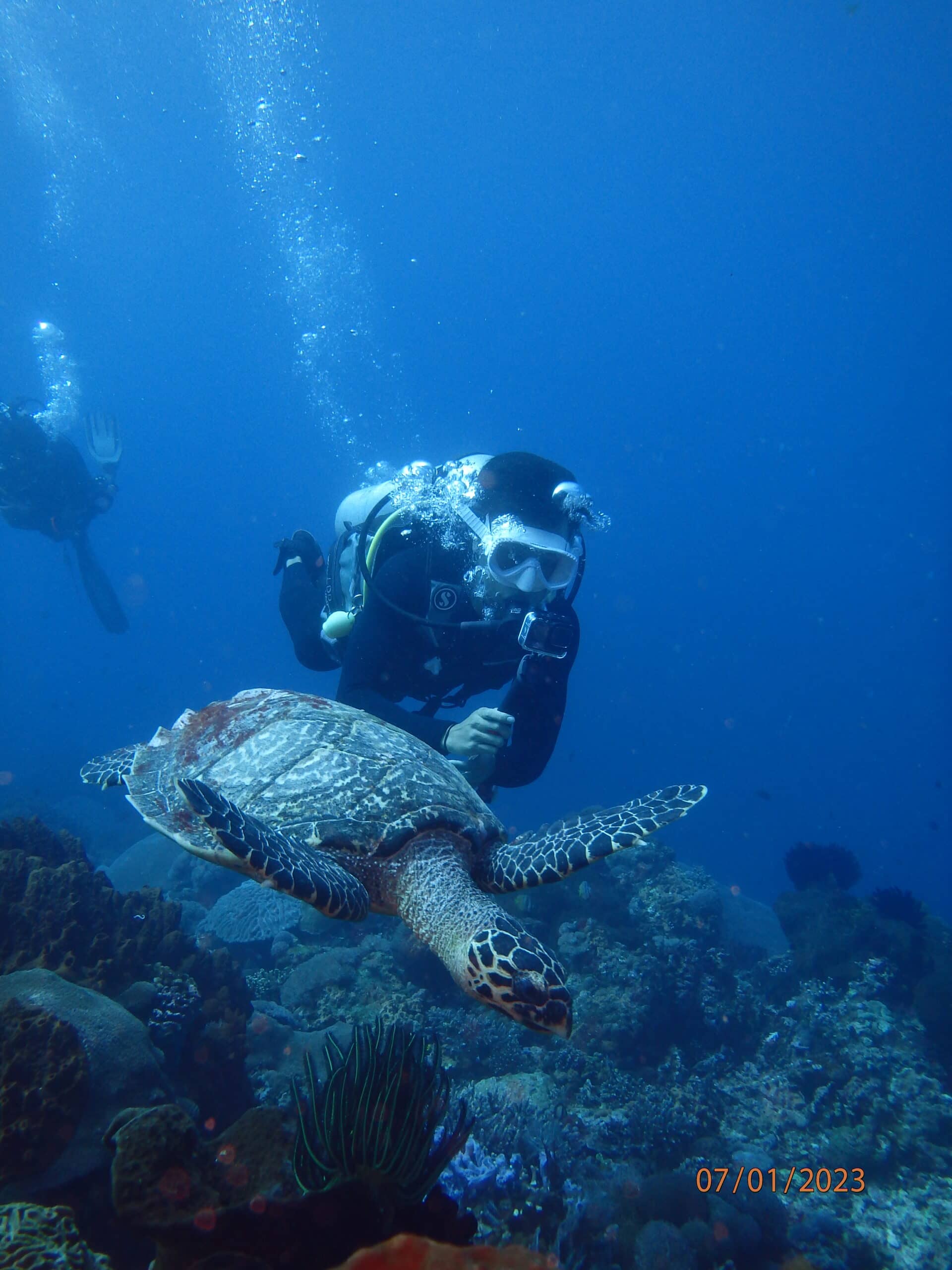 bali scuba diving with turtles