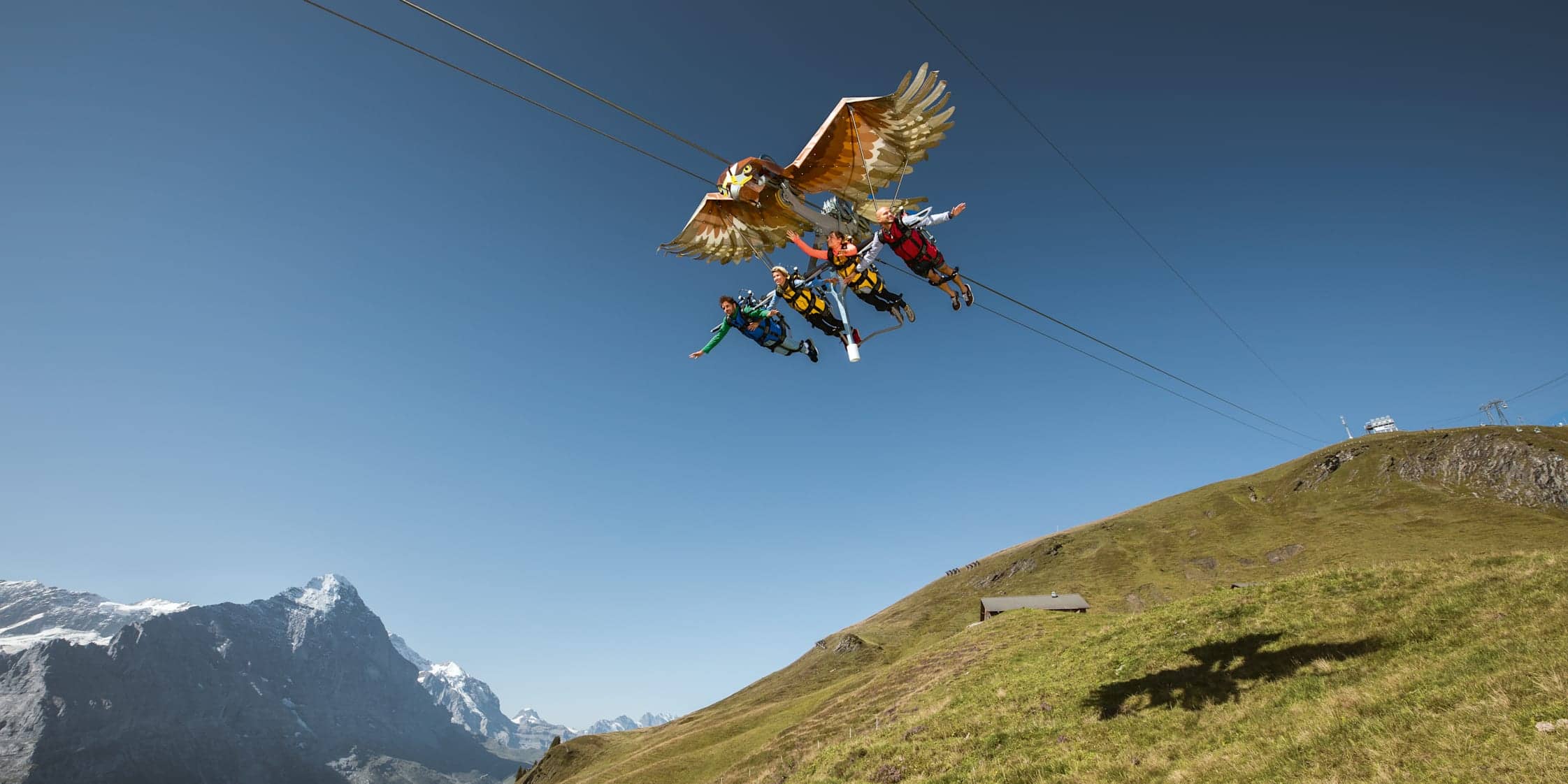 grindelwald first glider