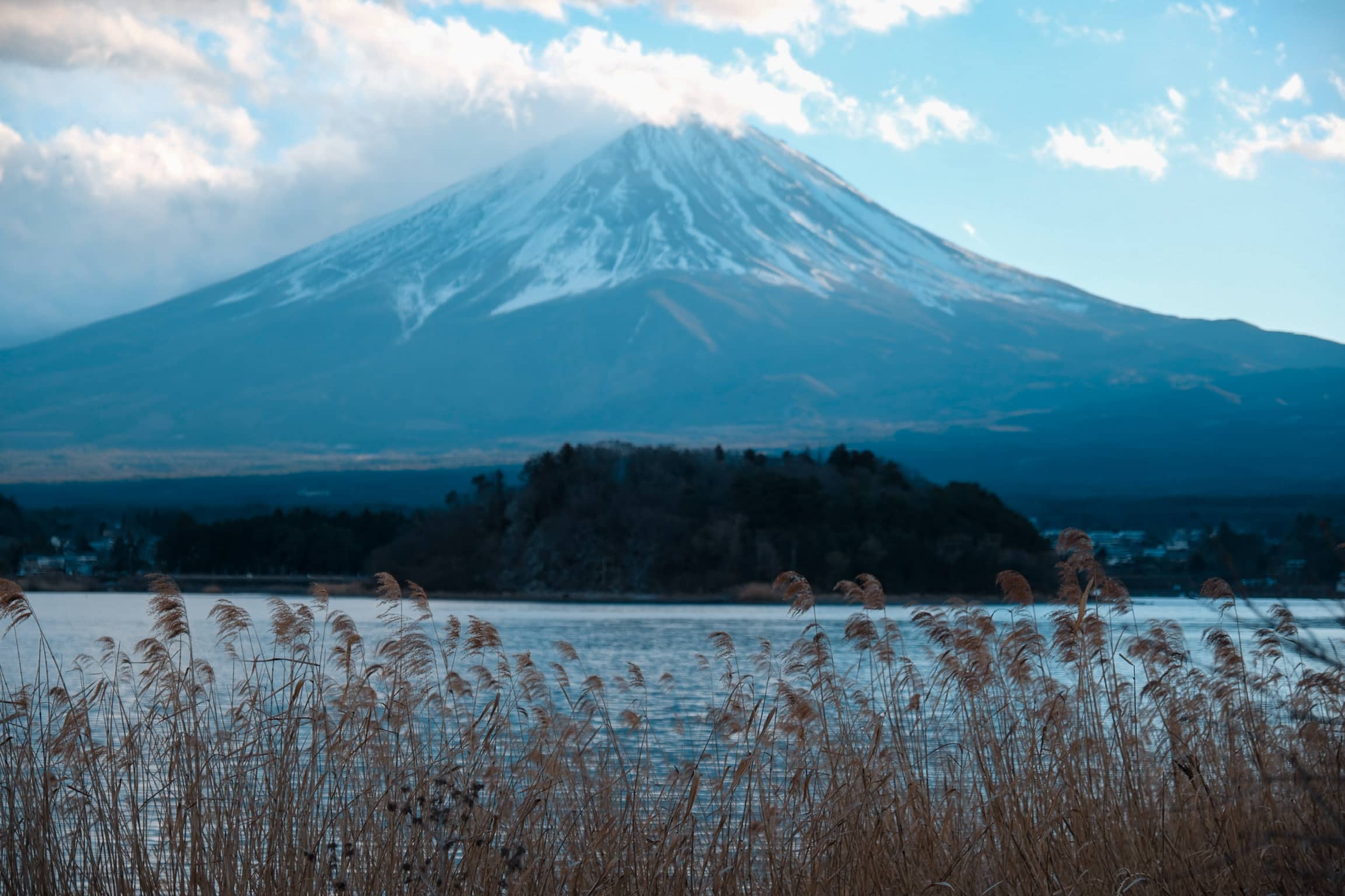 mount-fuji-park