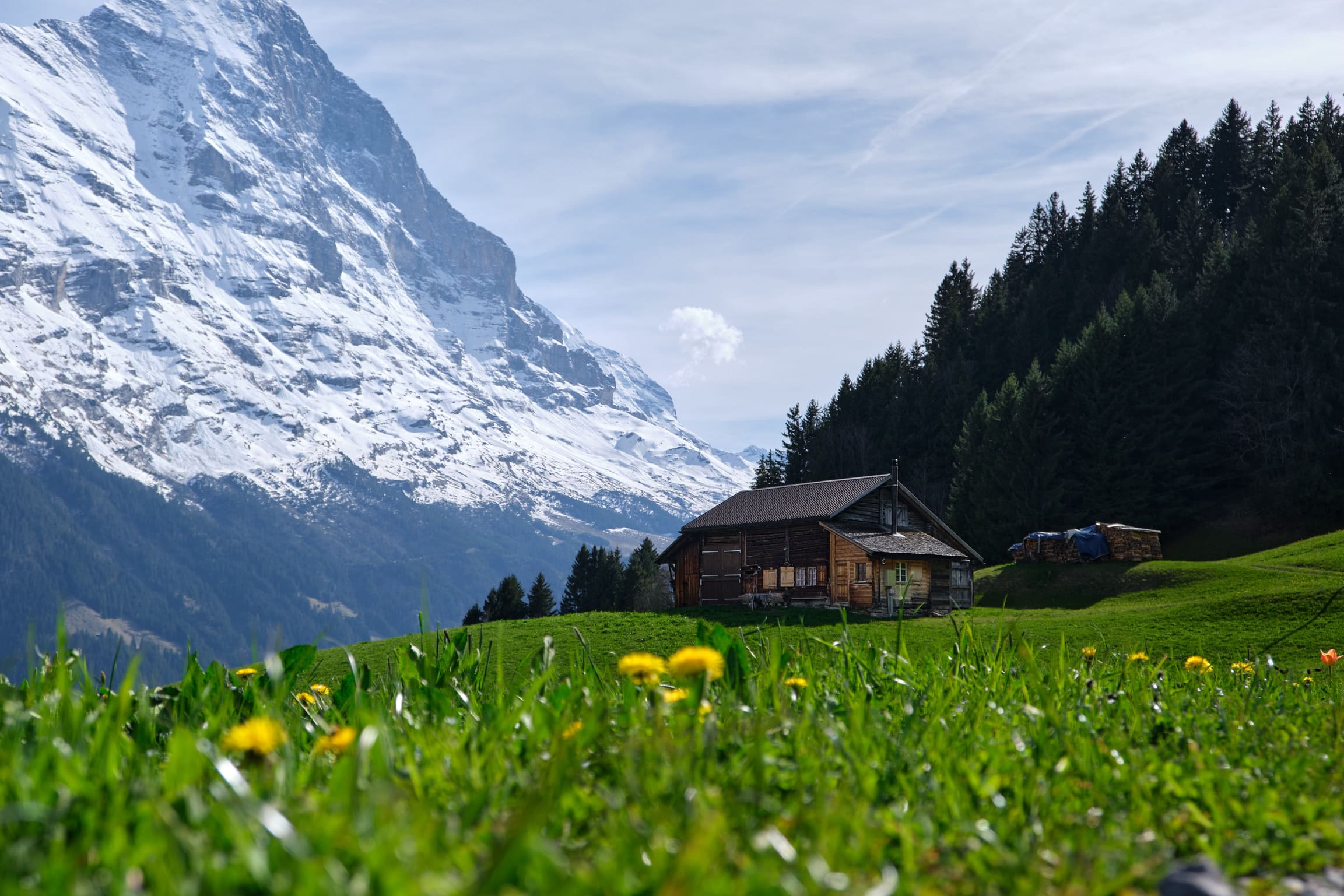 grindelwald