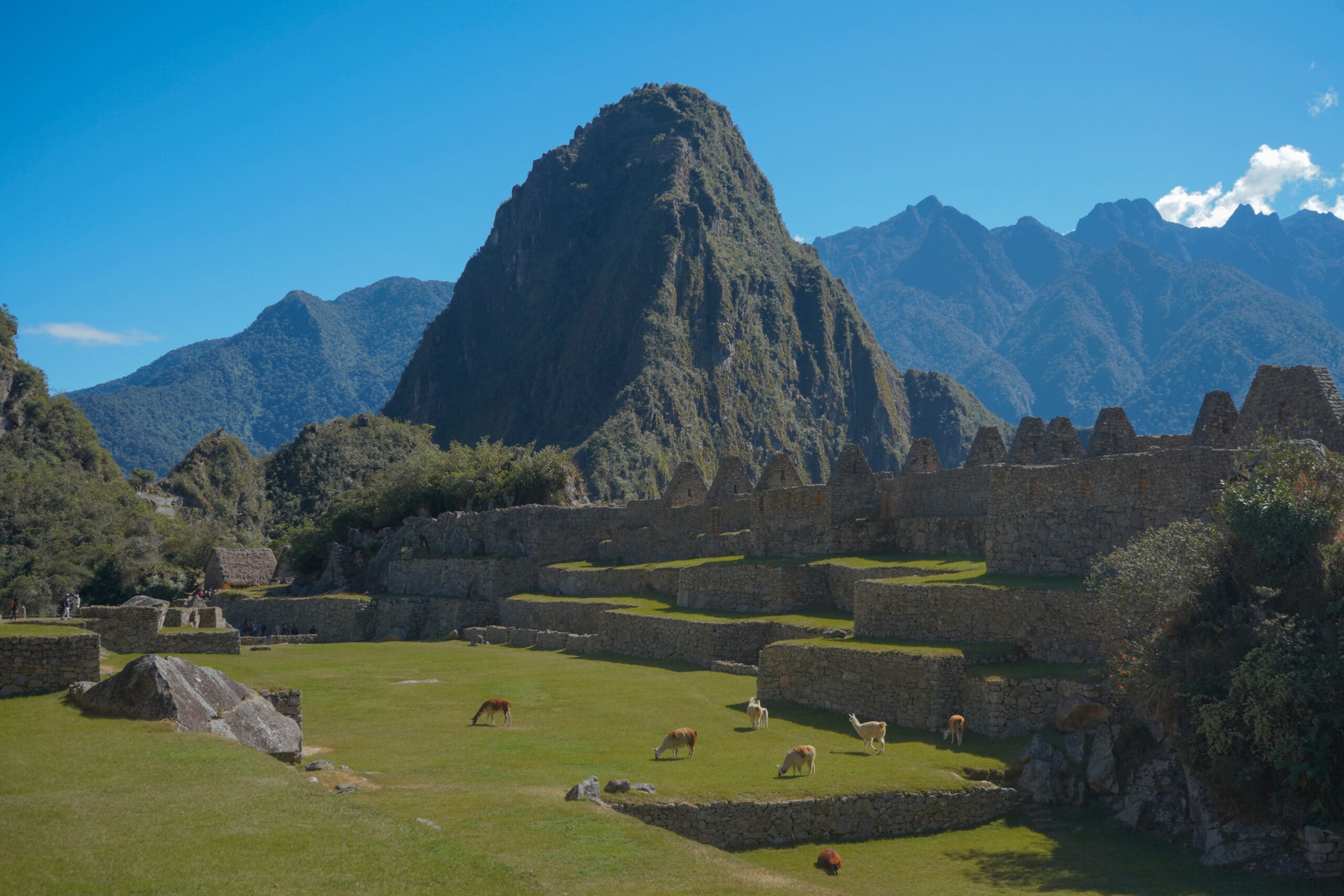 machu-picchu