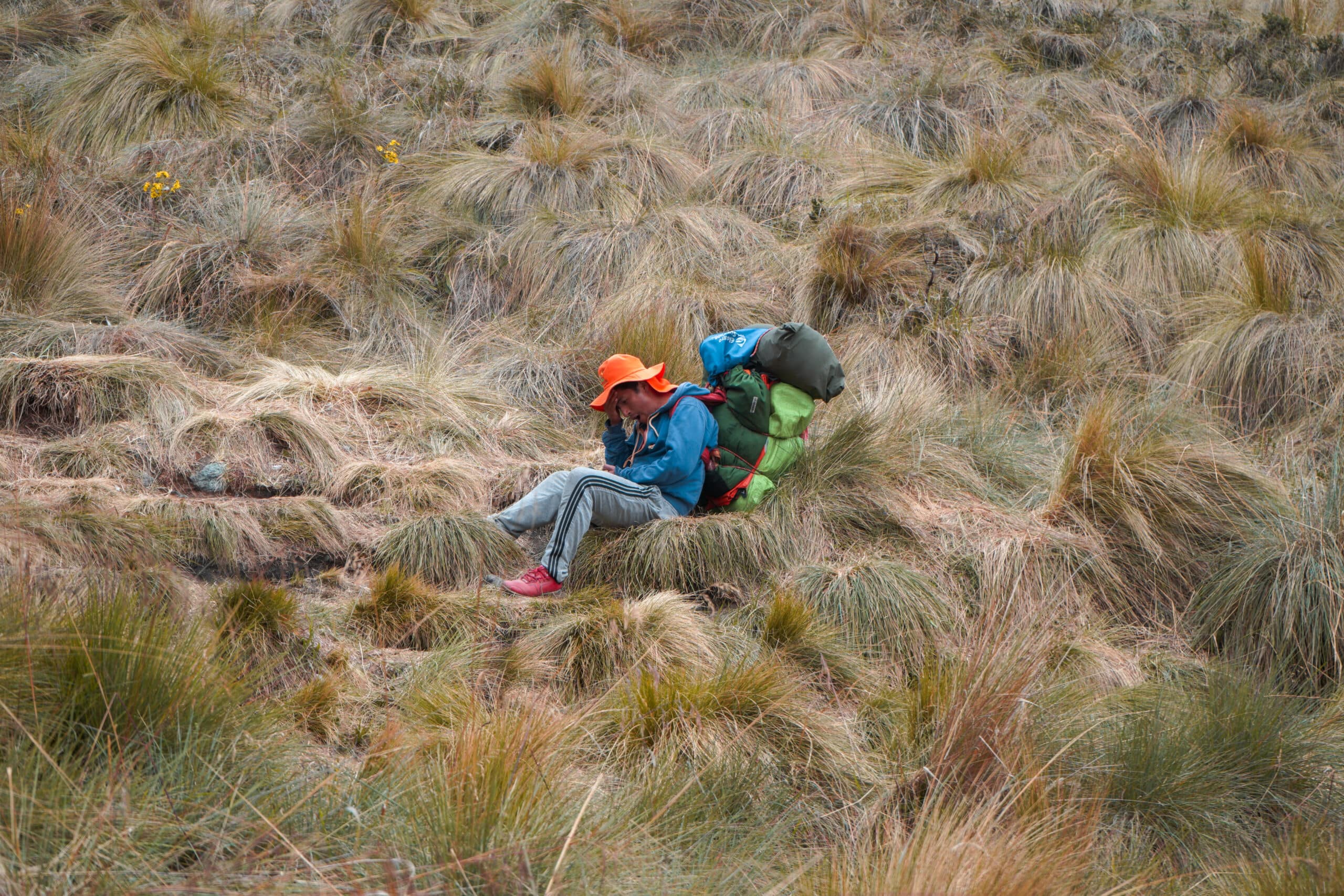 inca-trail-porter