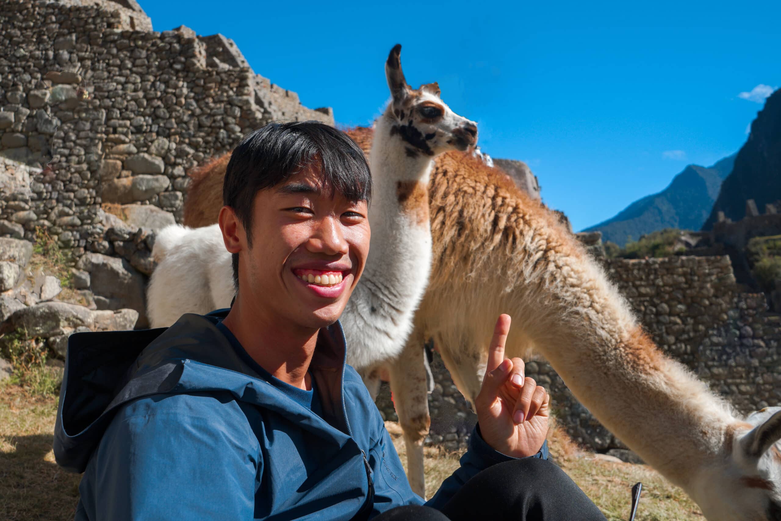 machu-picchu-llama