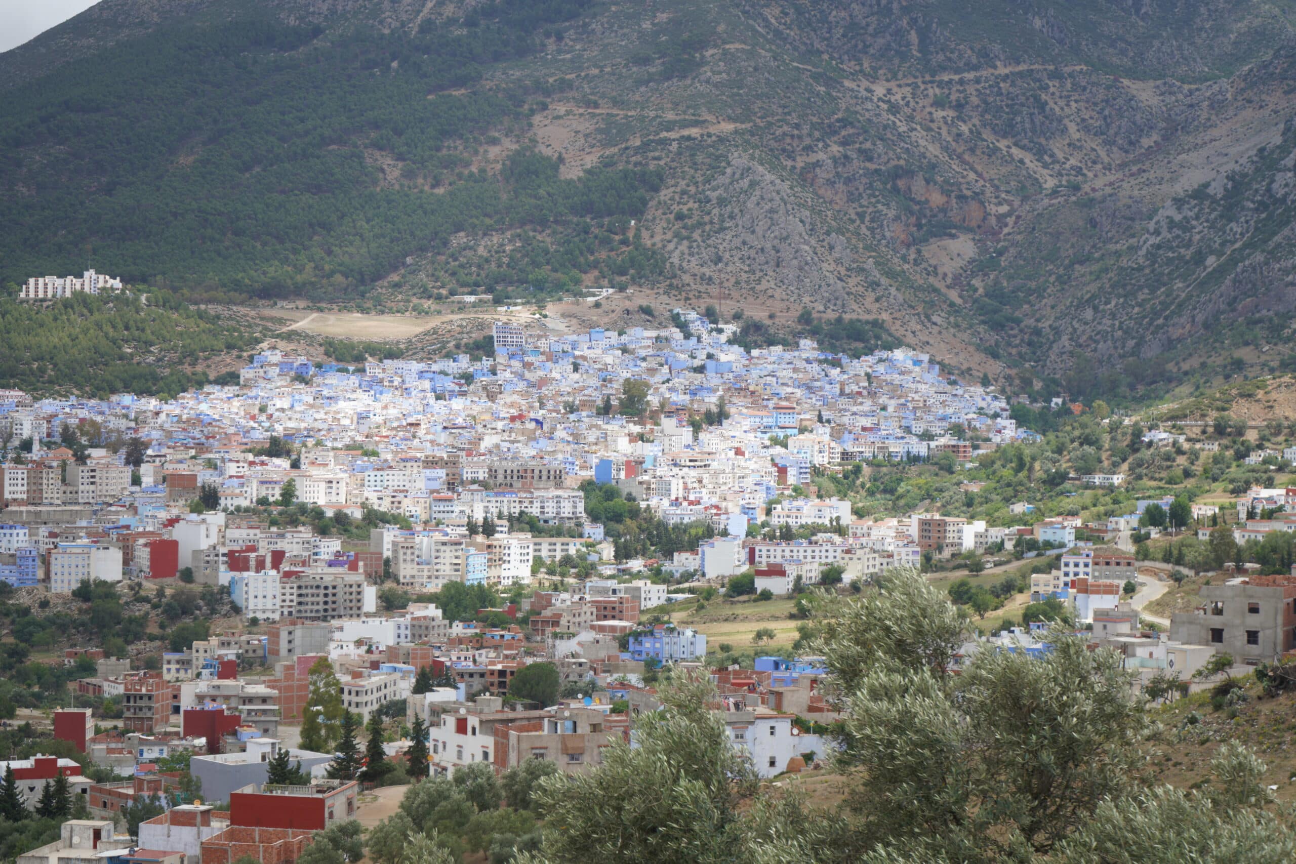 chefchaouen panorama view