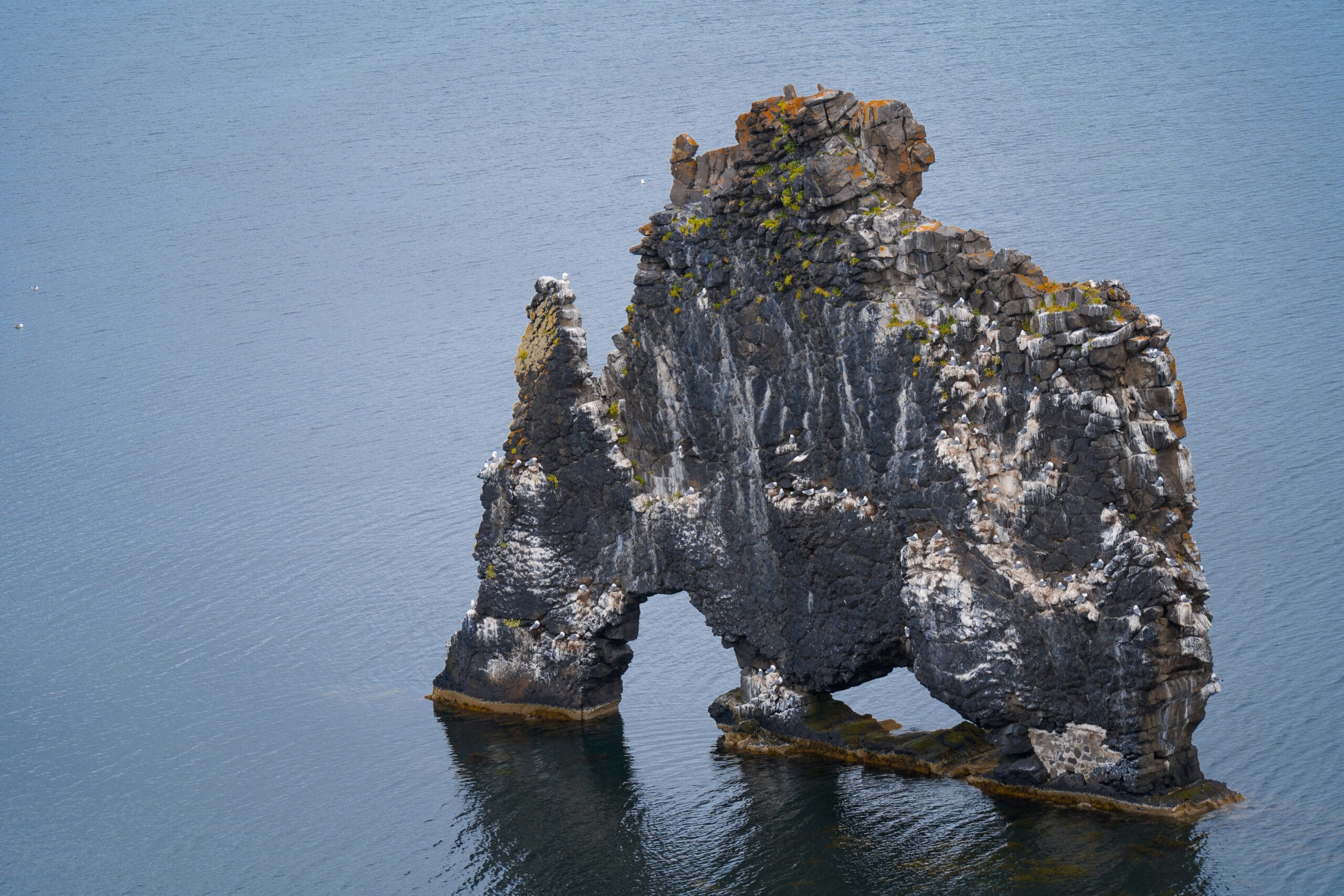Hvitserkur