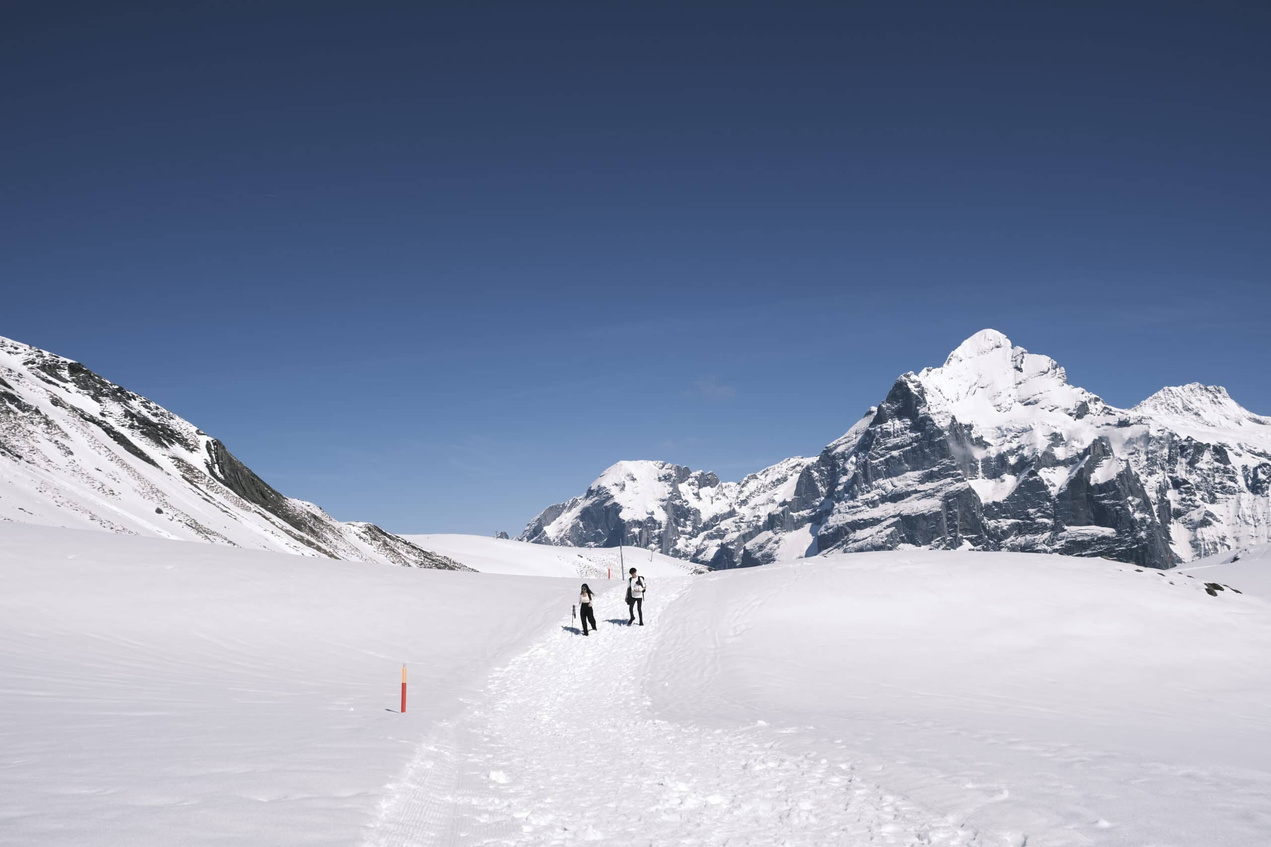 grindelwald