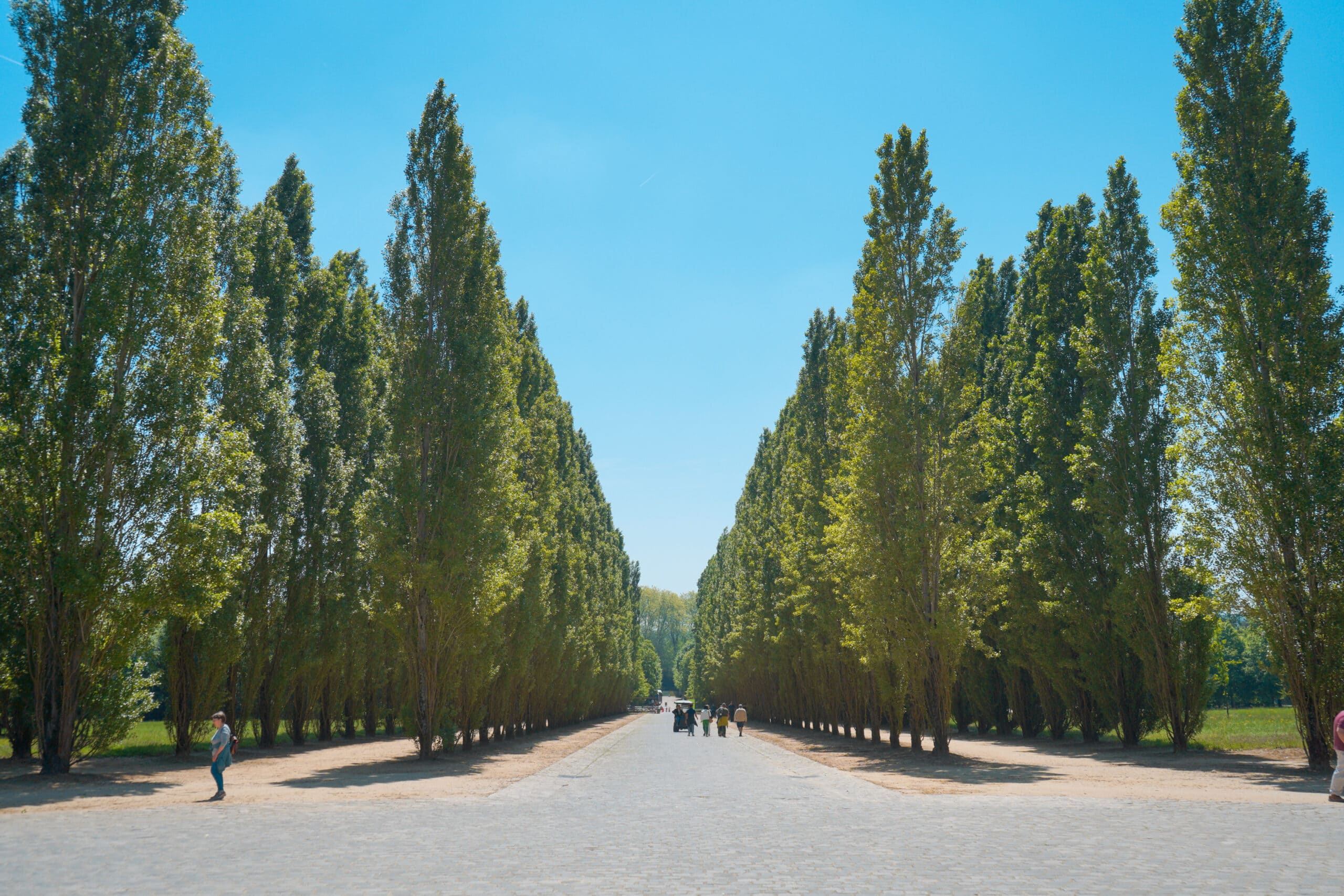 VERSAILLES