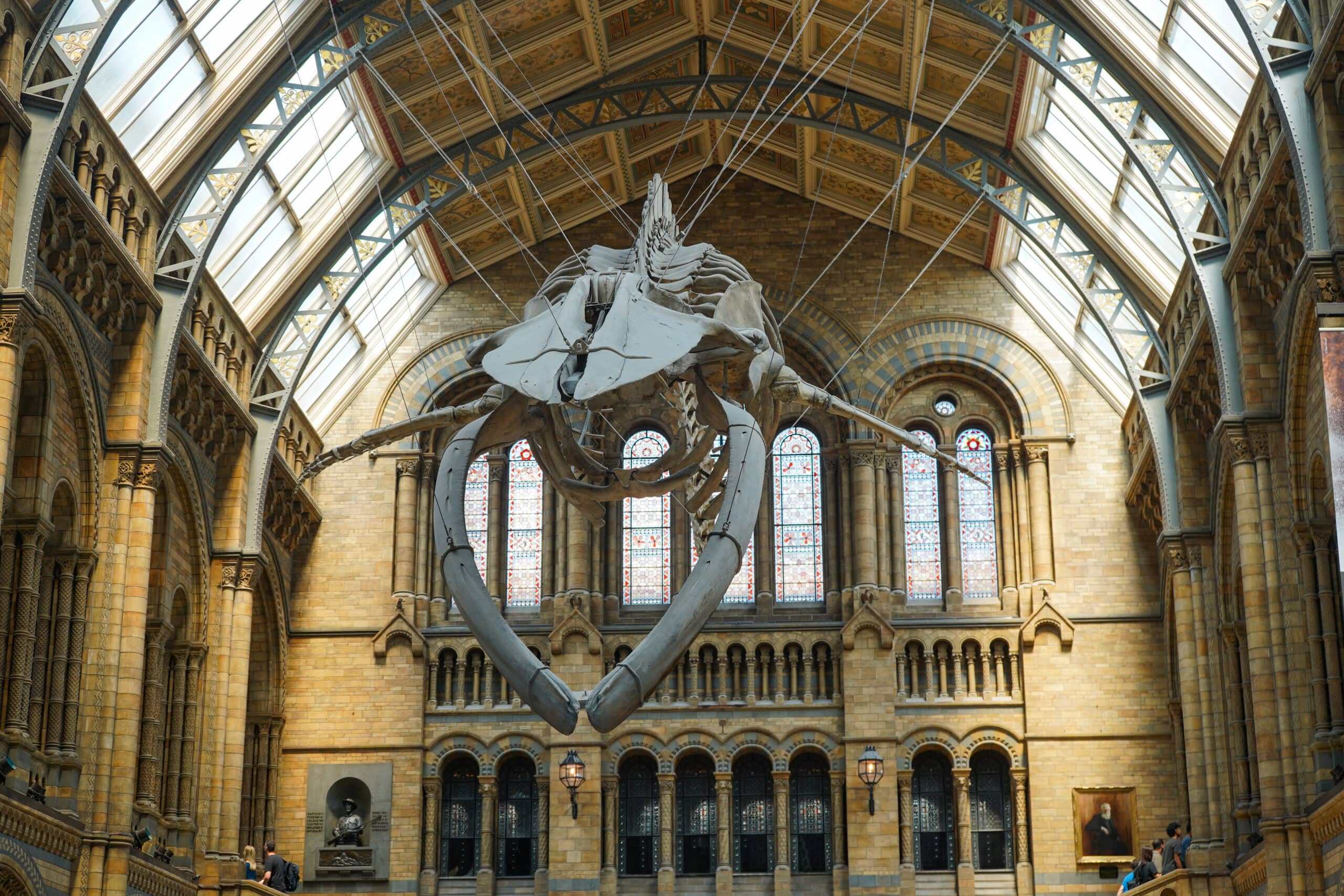 museum of natural history London