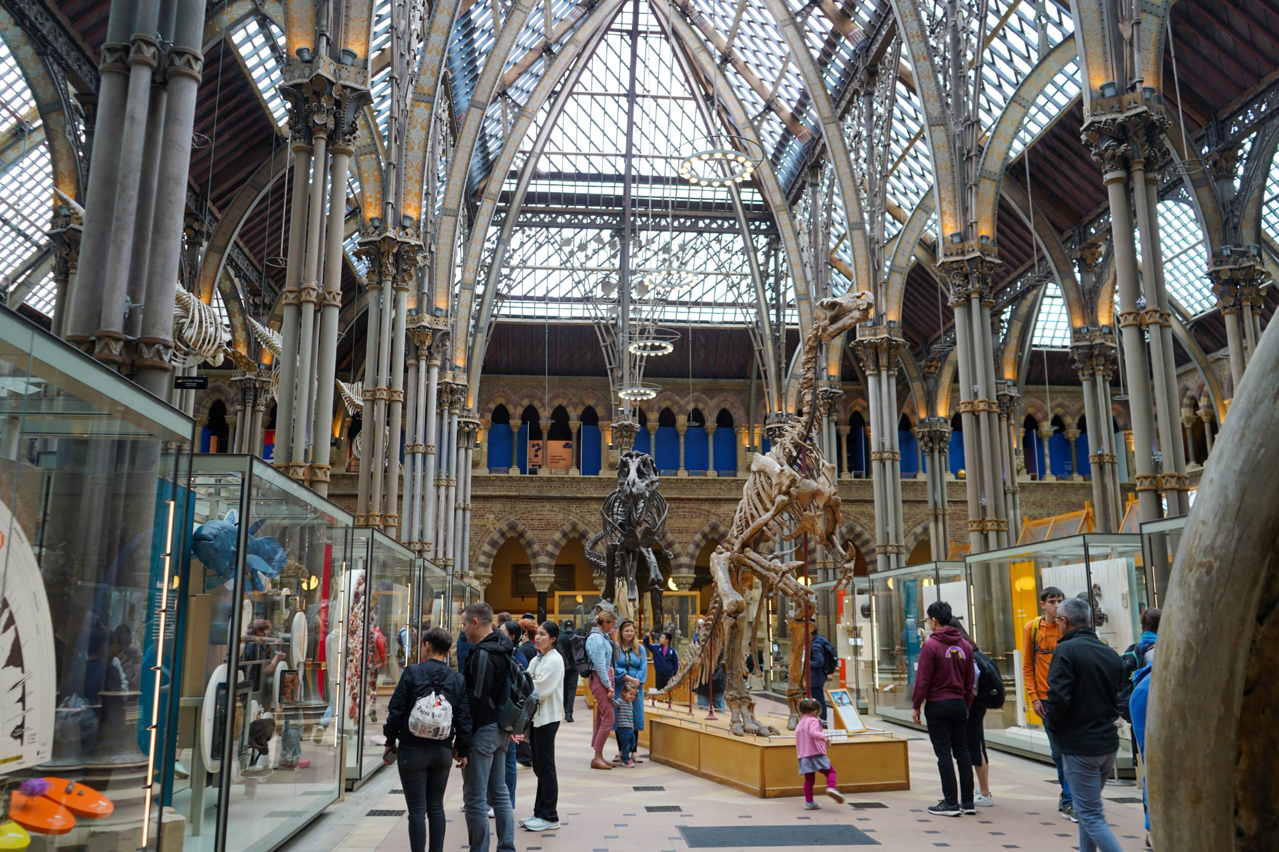 Oxford museum of natural history