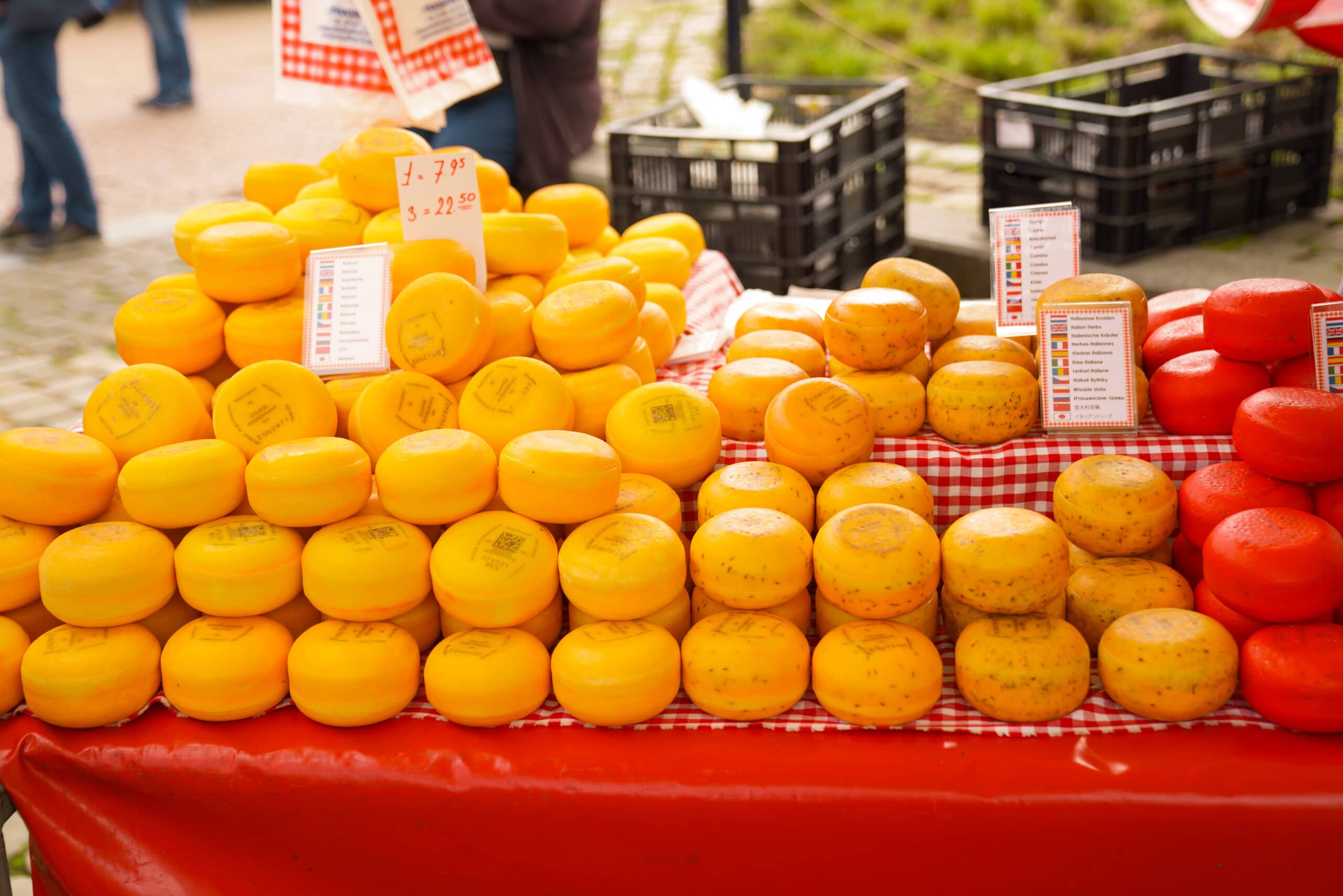 Cheese in Edam Cheesemarket every Wednesday