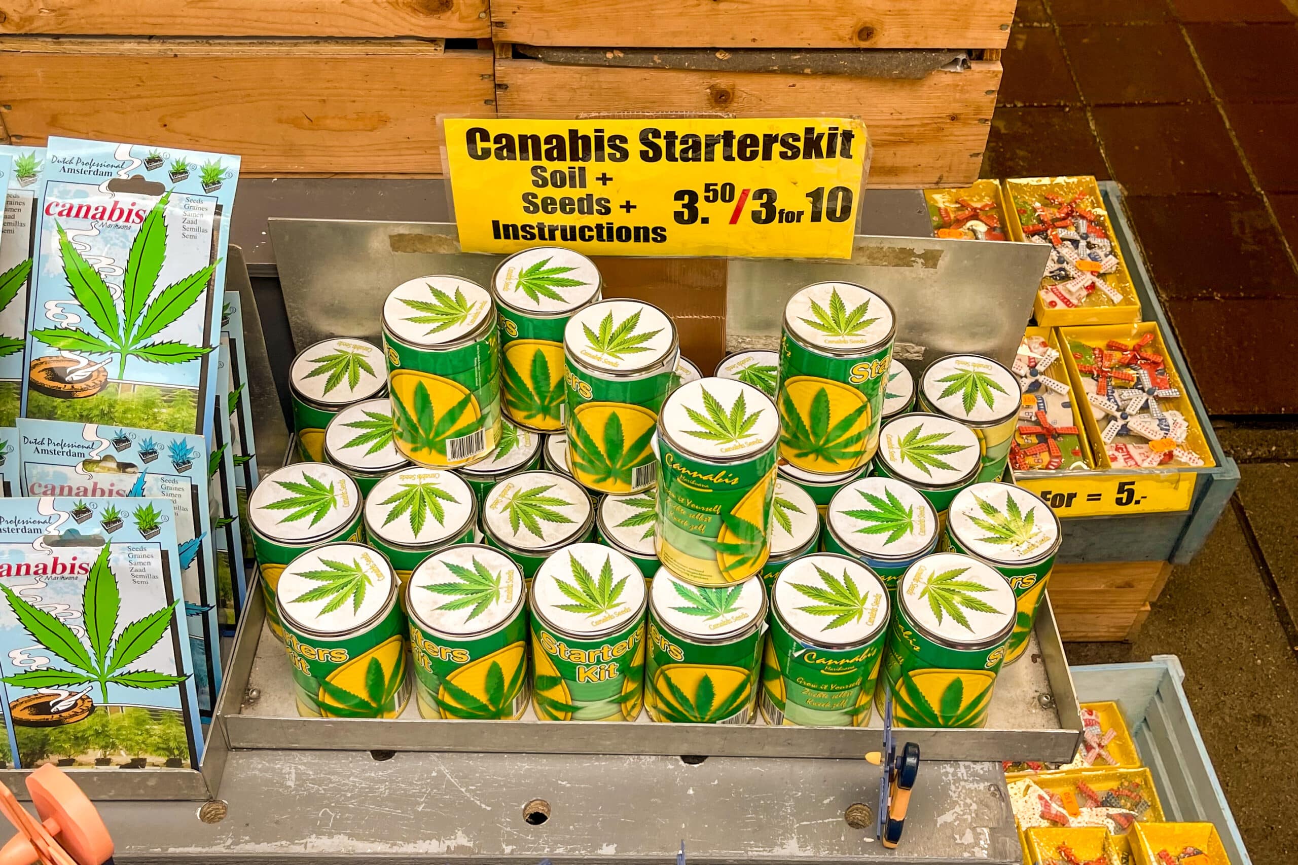 cannabis în the Netherlands