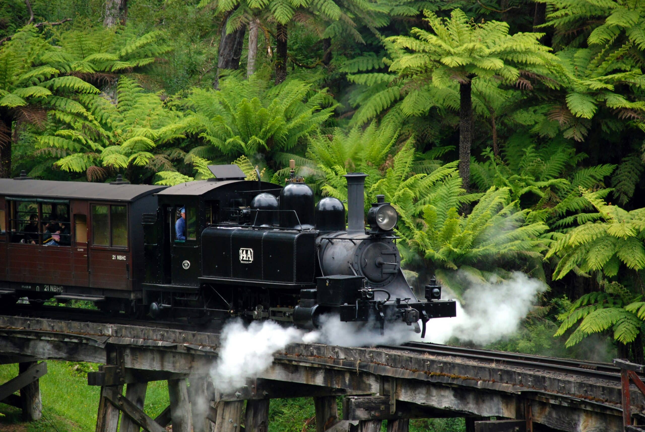 puffing billy steam train in melbourne