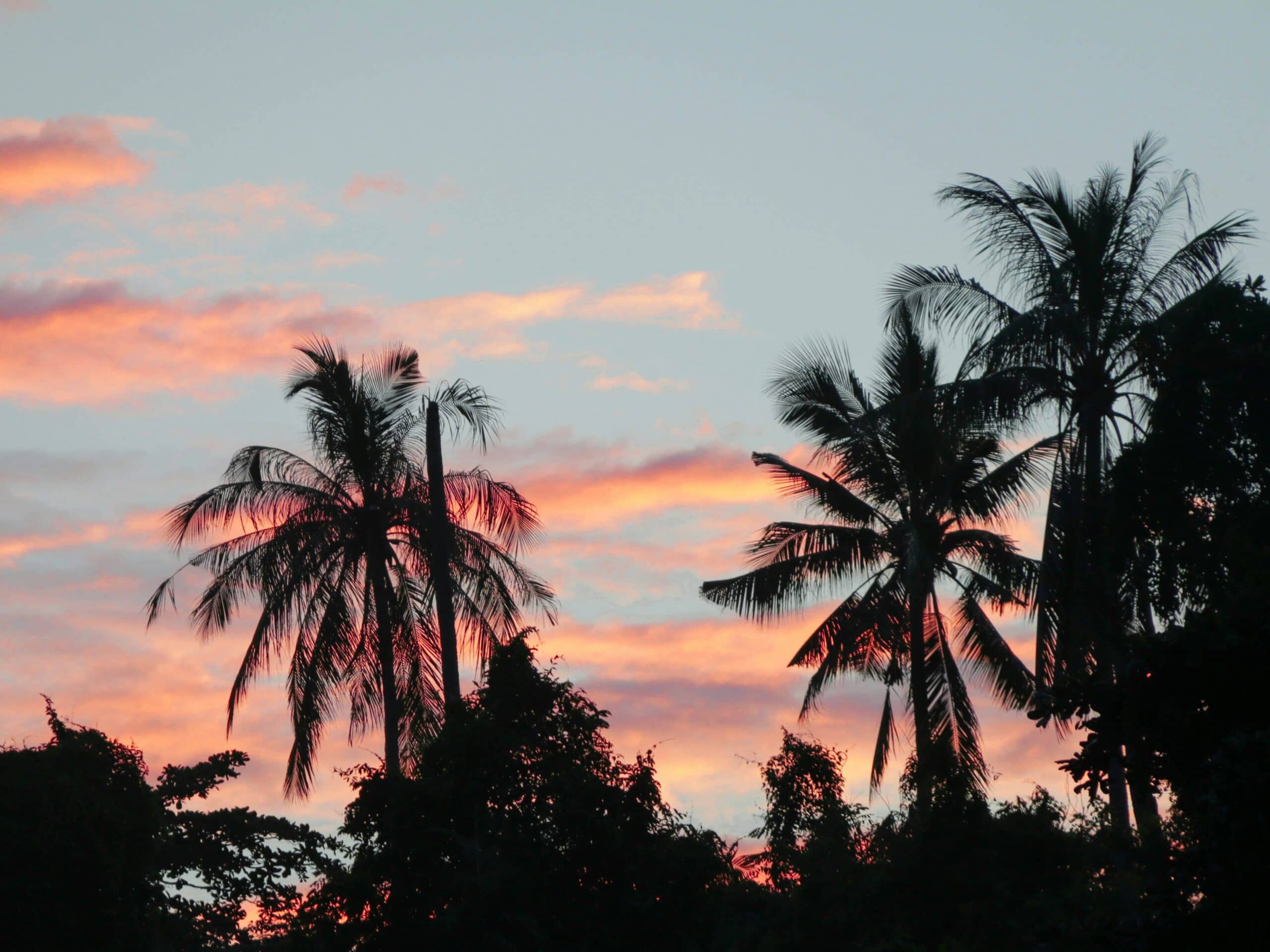 tawau