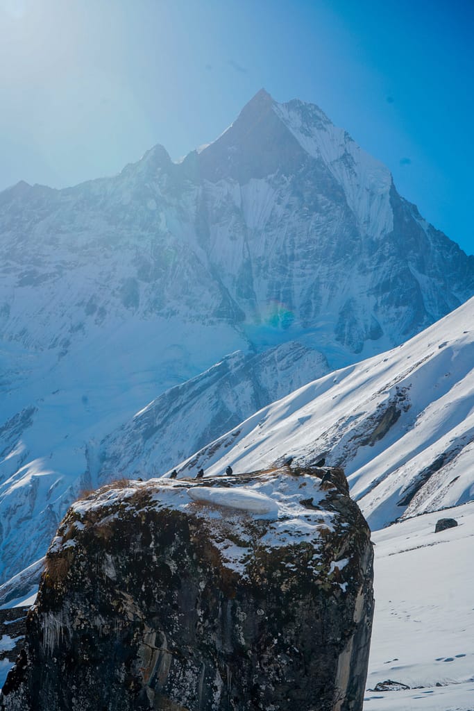 mardi-himal