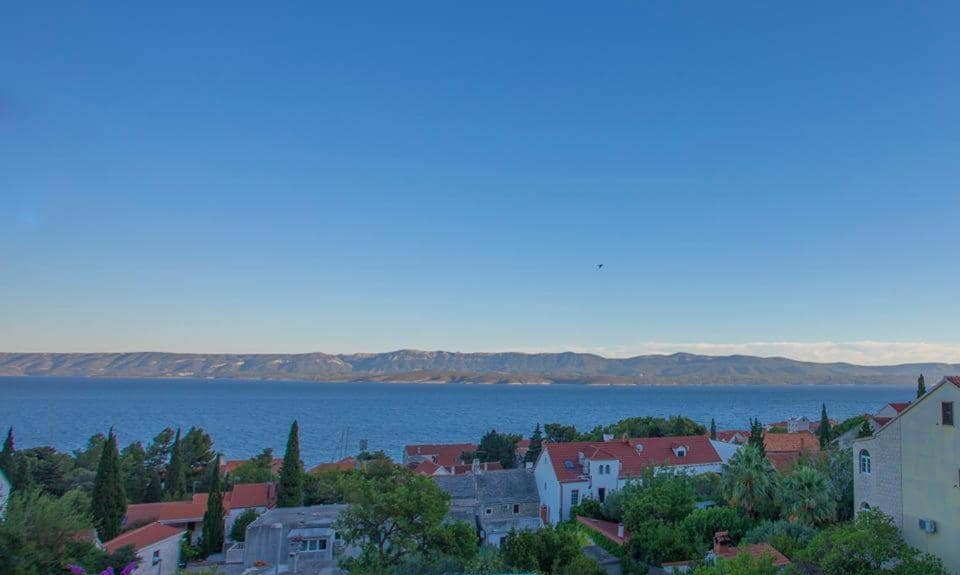 view from blueberry bol